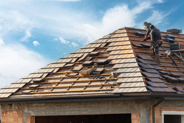 Best Roof Ventilation Installation  in Marshalltown, IA
